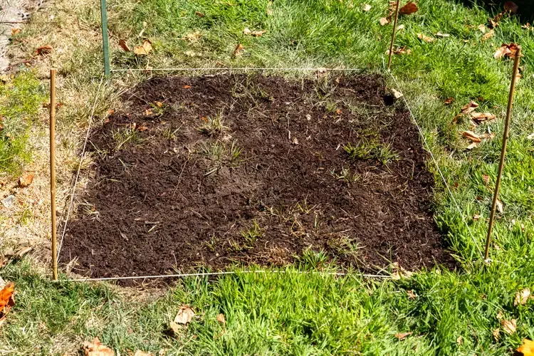 backyard leveling